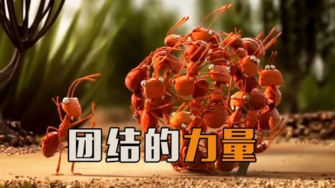 爱游戏在线-关于罗马痛失两重大主力，团结应对困局的信息