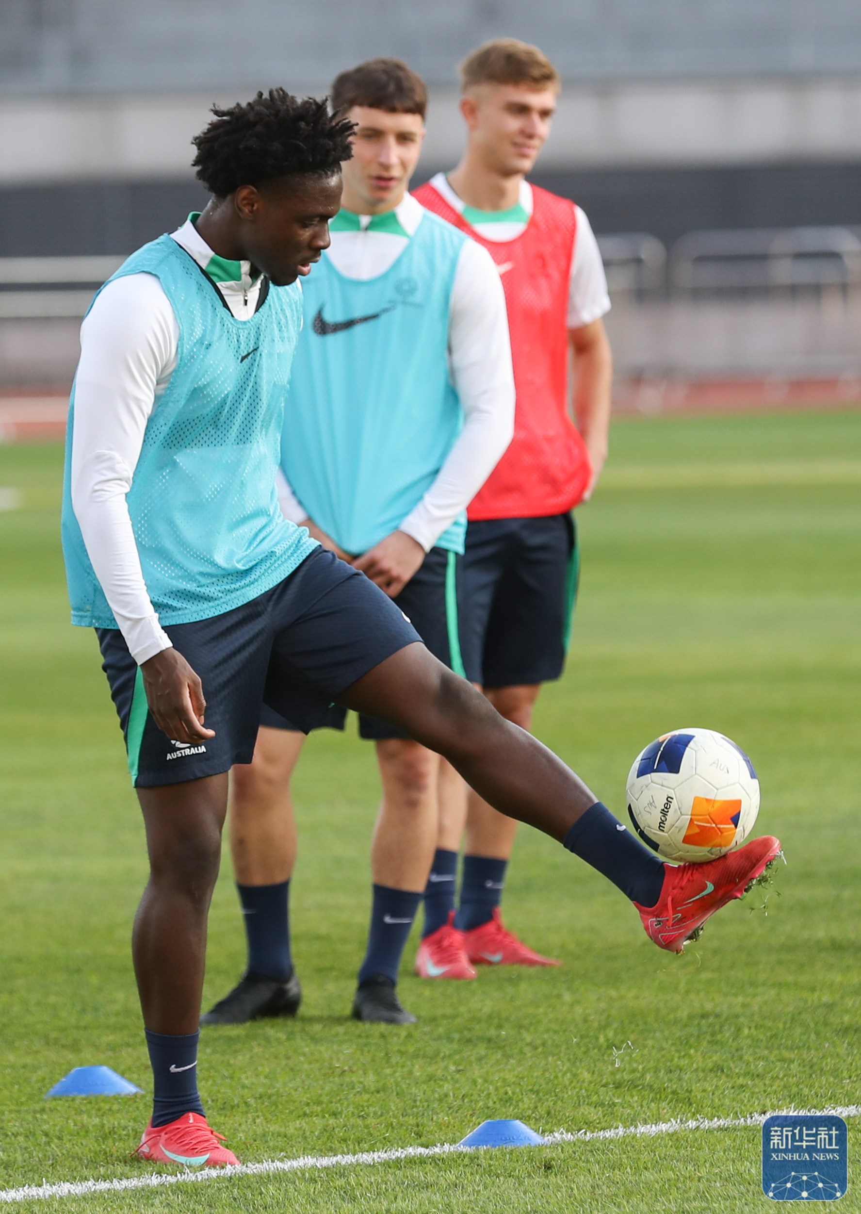 澳大利亚队遇到挑战，积极备战洲际比赛的简单介绍