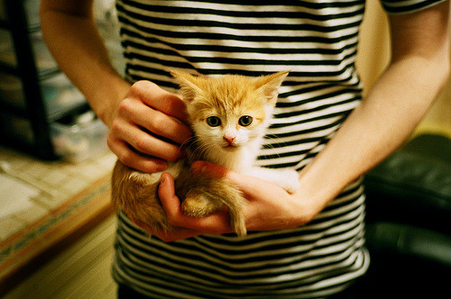 爱游戏在线-布克关键回合不手软，深圳队压哨击败辽宁队