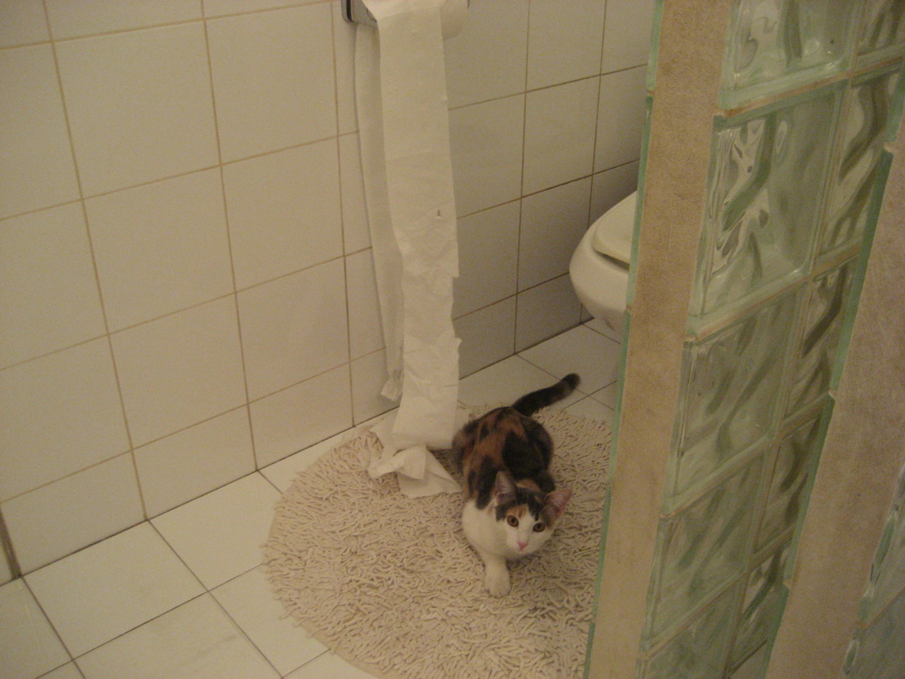 红与蓝的战术博弈，当亚特兰大的野性直觉碾压瑞士的精密齿轮