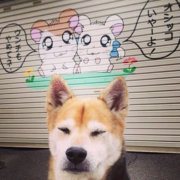 世界排名争夺战之夜,保罗关键节点连续得分锁定胜局