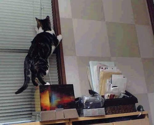 47分封神之战，抢七夜米切尔的孤胆英雄主义如何载入史册